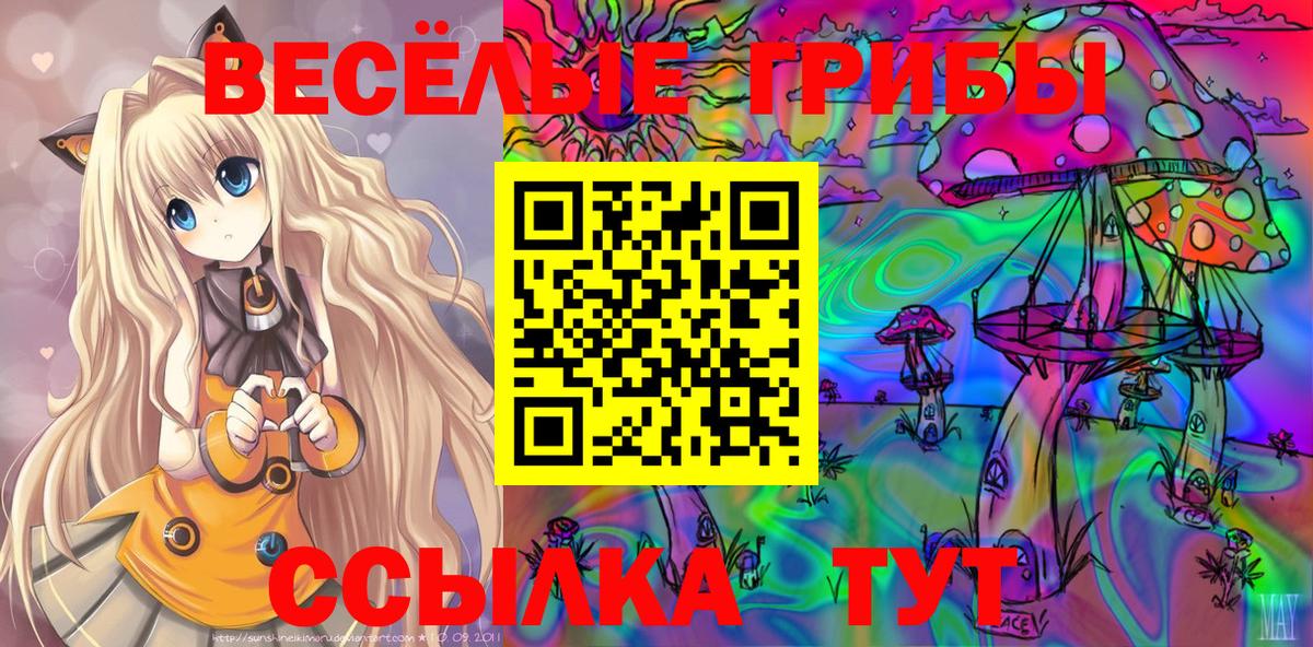 Псилоцибиновые грибы Cubensis Ишимбай